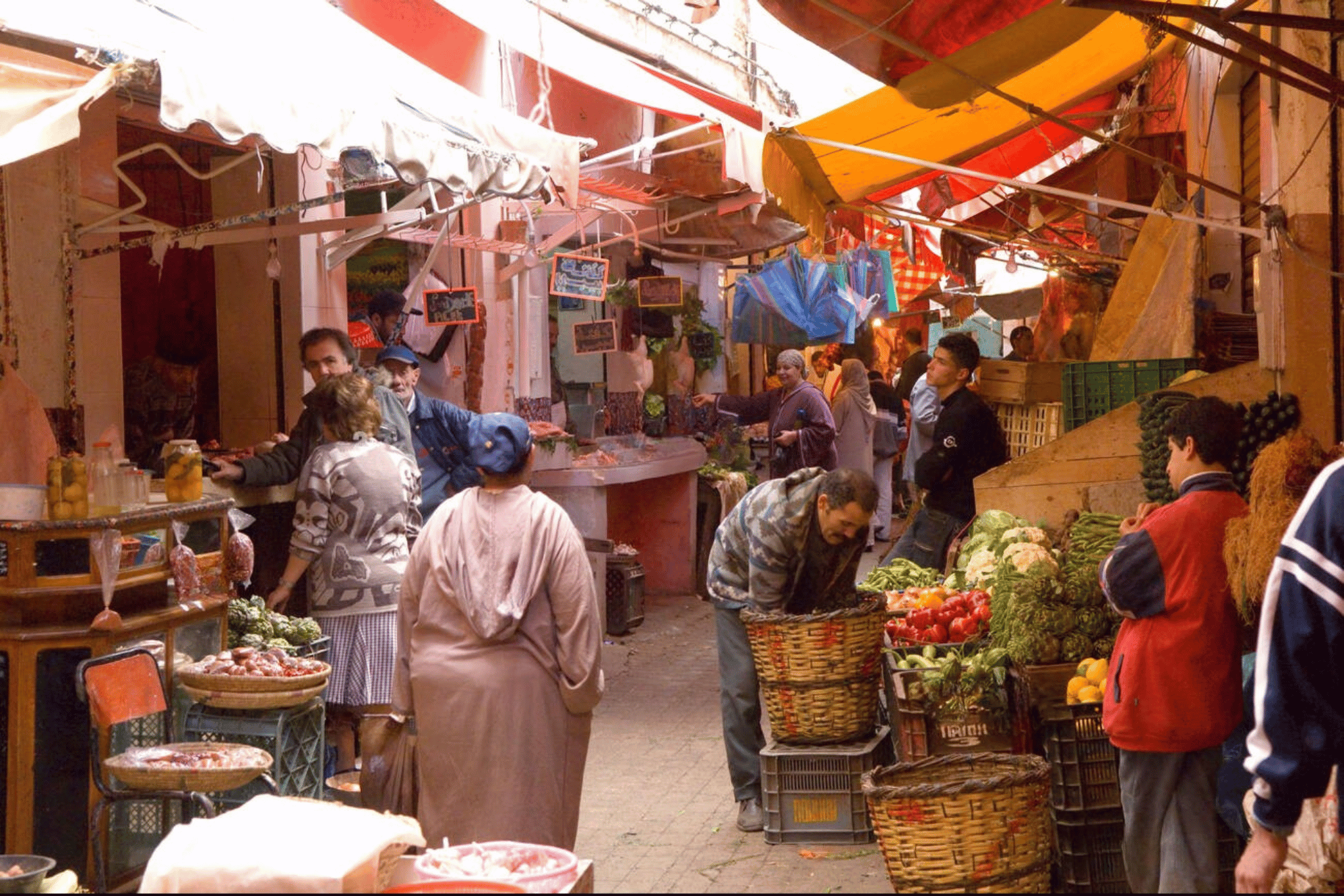 Activities and Excursions in Marrakech, Morocco