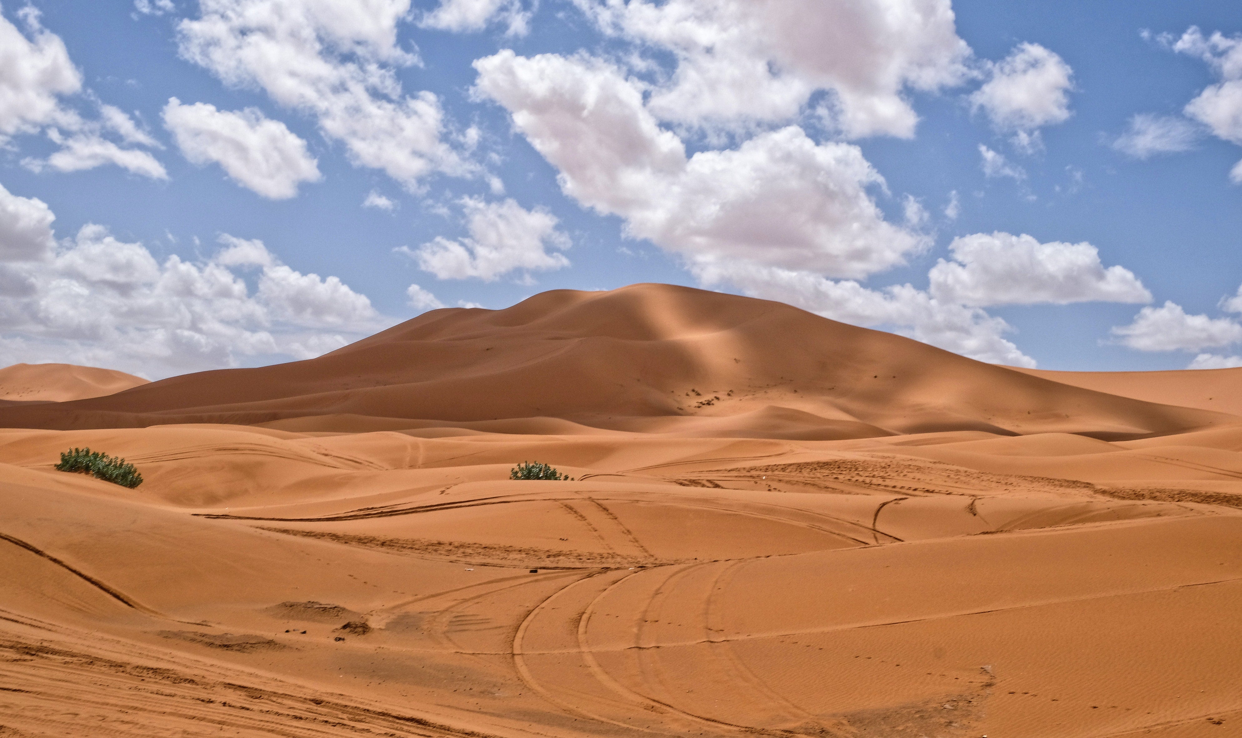 Lanterns & Legends: 4-Day Sahara Escape — Fez, Merzouga & Marrakech from Casablanca