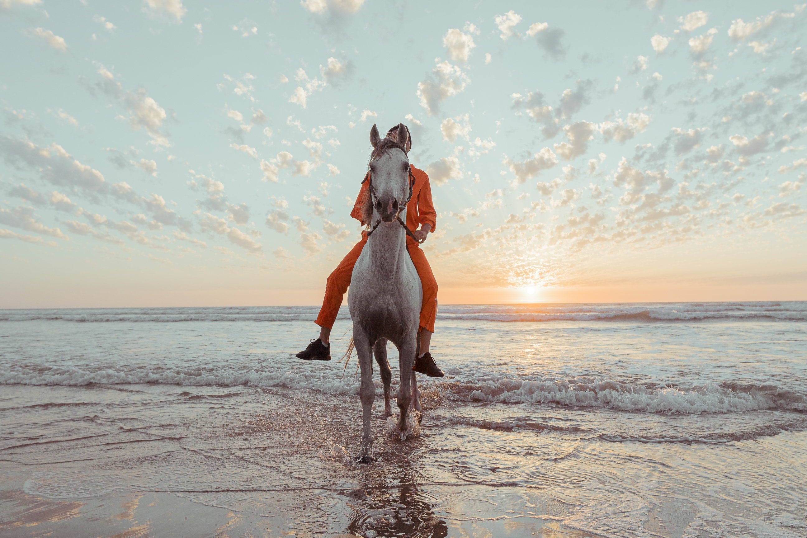 Horseback Riding Twilight Beach Escapade in Casablanca