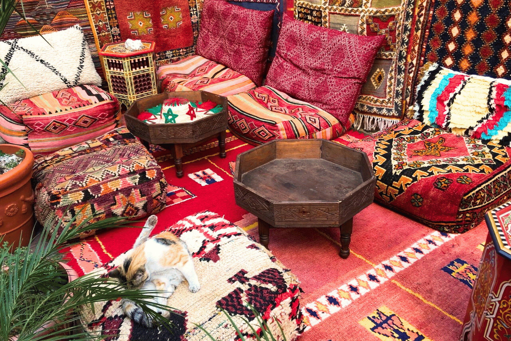 Casablanca’s Hidden Souks – Private Shopping Experience with Local Insider