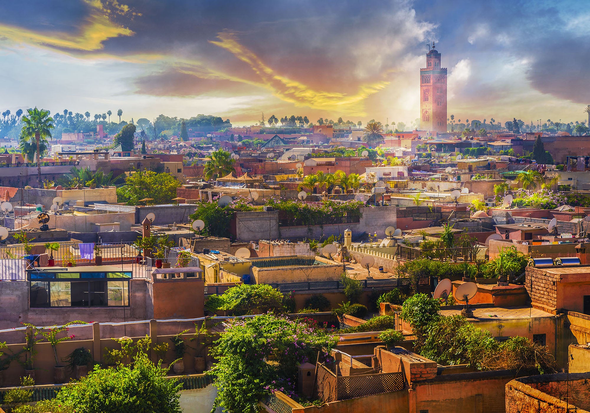 Private Transfer From Marrakech Airport (RAK) to Rabat Hotel (Any)