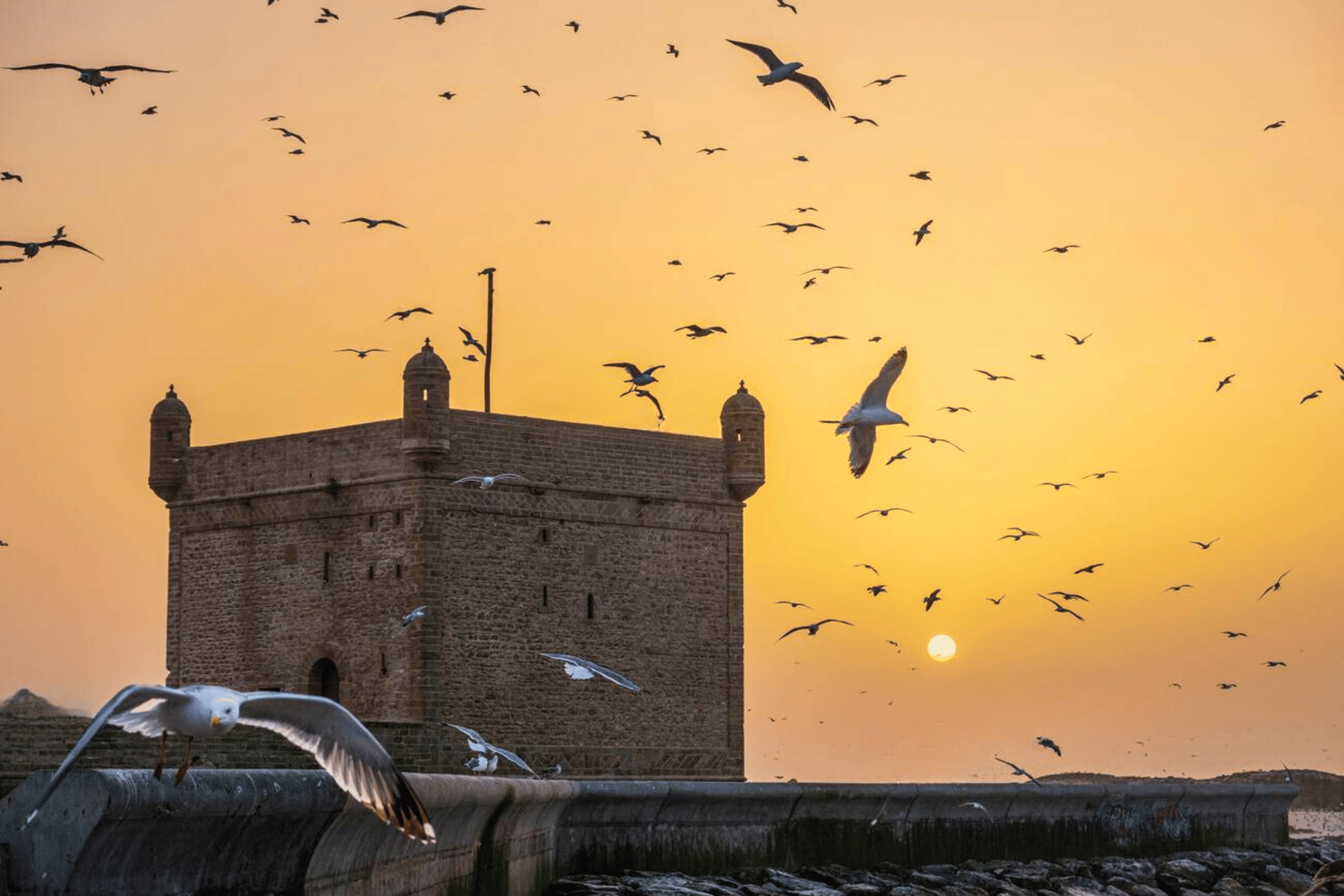 Essaouira Seaside with Historic Sights & UNESCO Medina – Private Full-Day Guided Tour from Marrakech