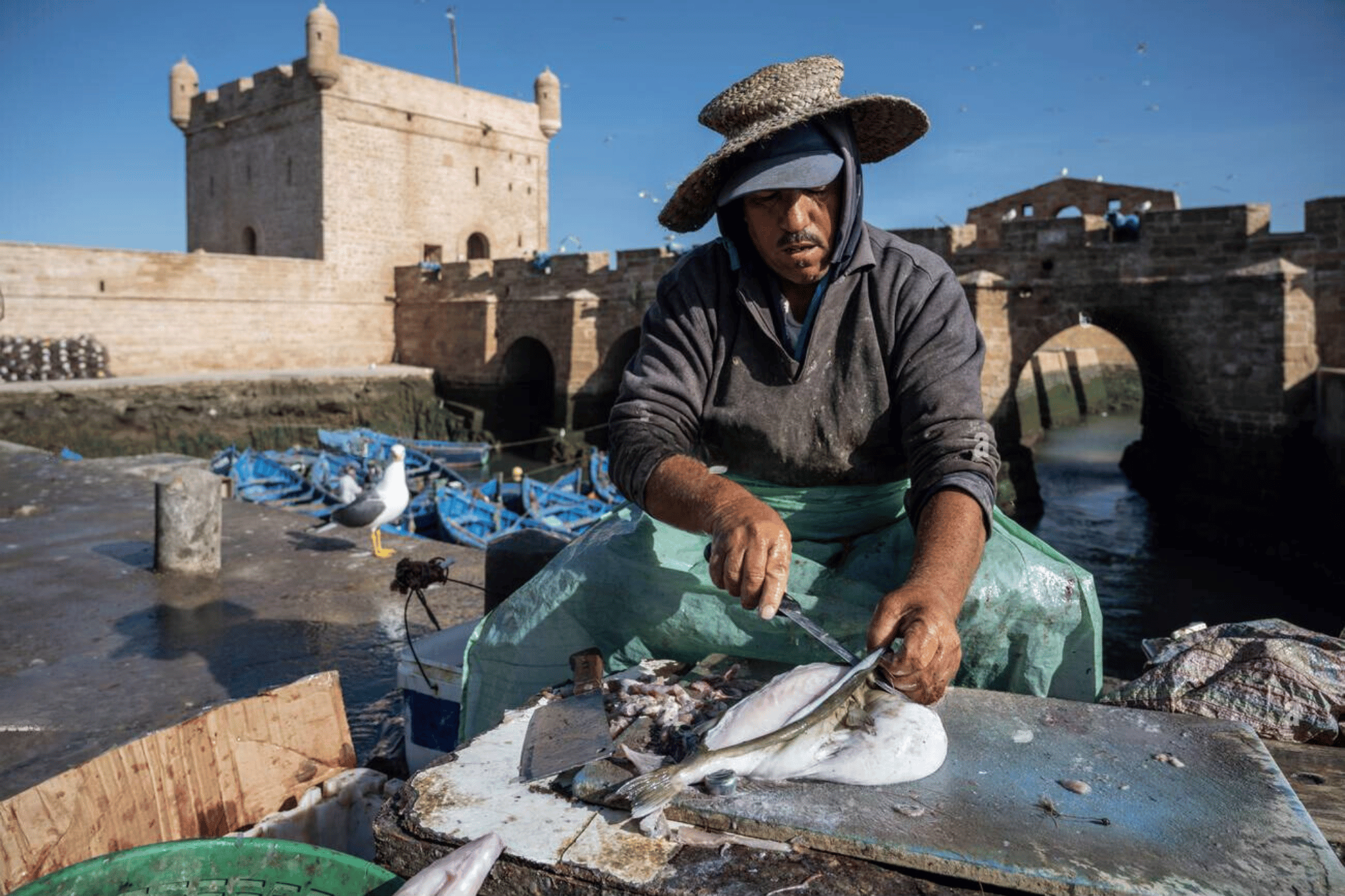 Essaouira Seaside with Historic Sights & UNESCO Medina – Private Full-Day Guided Tour from Marrakech