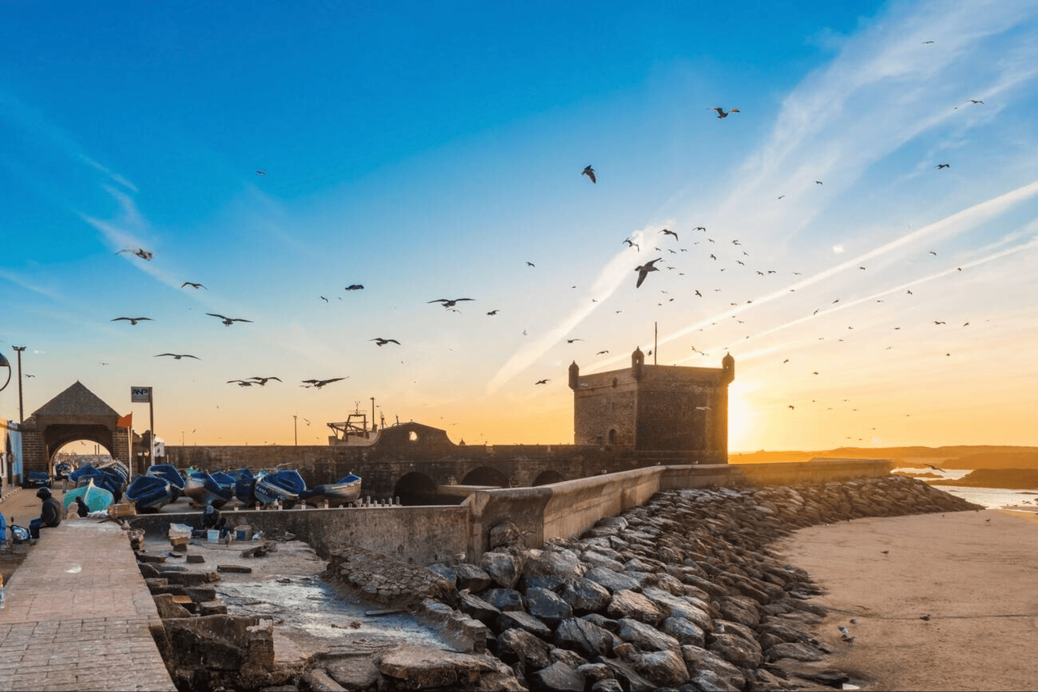 Essaouira Seaside with Historic Sights & UNESCO Medina – Private Full-Day Guided Tour from Marrakech