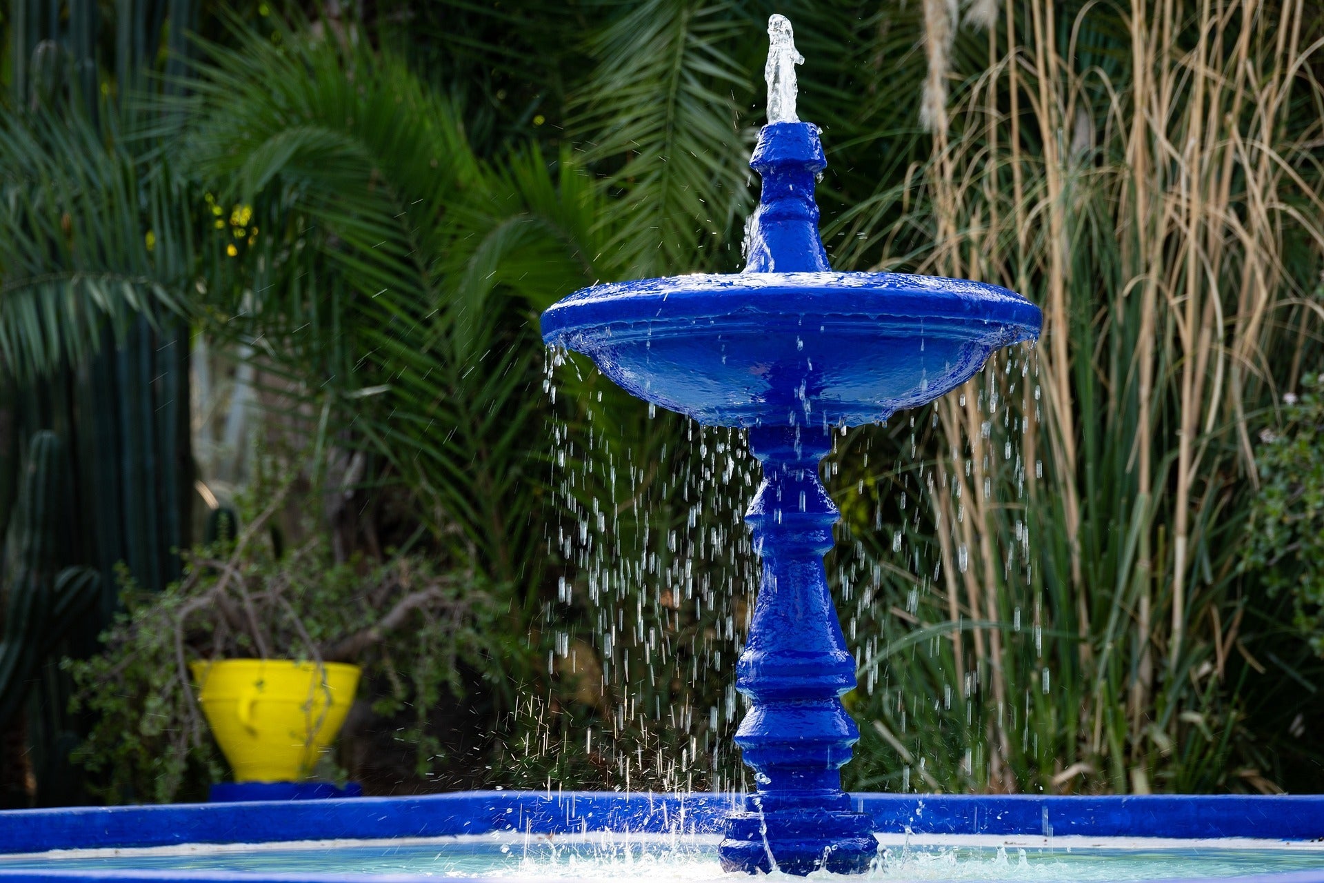 Majorelle Botanical Garden and Hidden Bazaars of Marrakech
