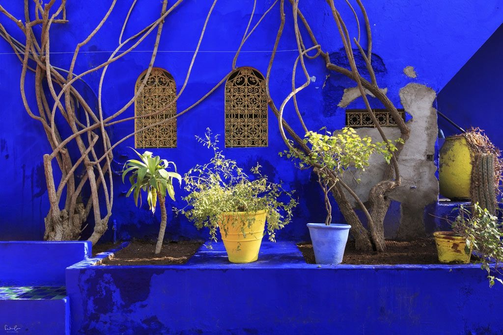 Majorelle Botanical Garden and Hidden Bazaars of Marrakech