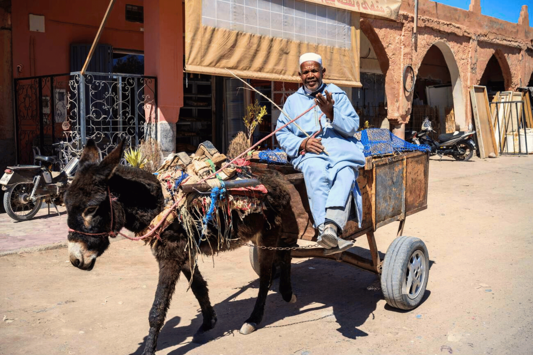 Kasbah Chronicles: 7-Day Journey — Chefchaouen, Fez, Merzouga & Marrakech from Casablanca
