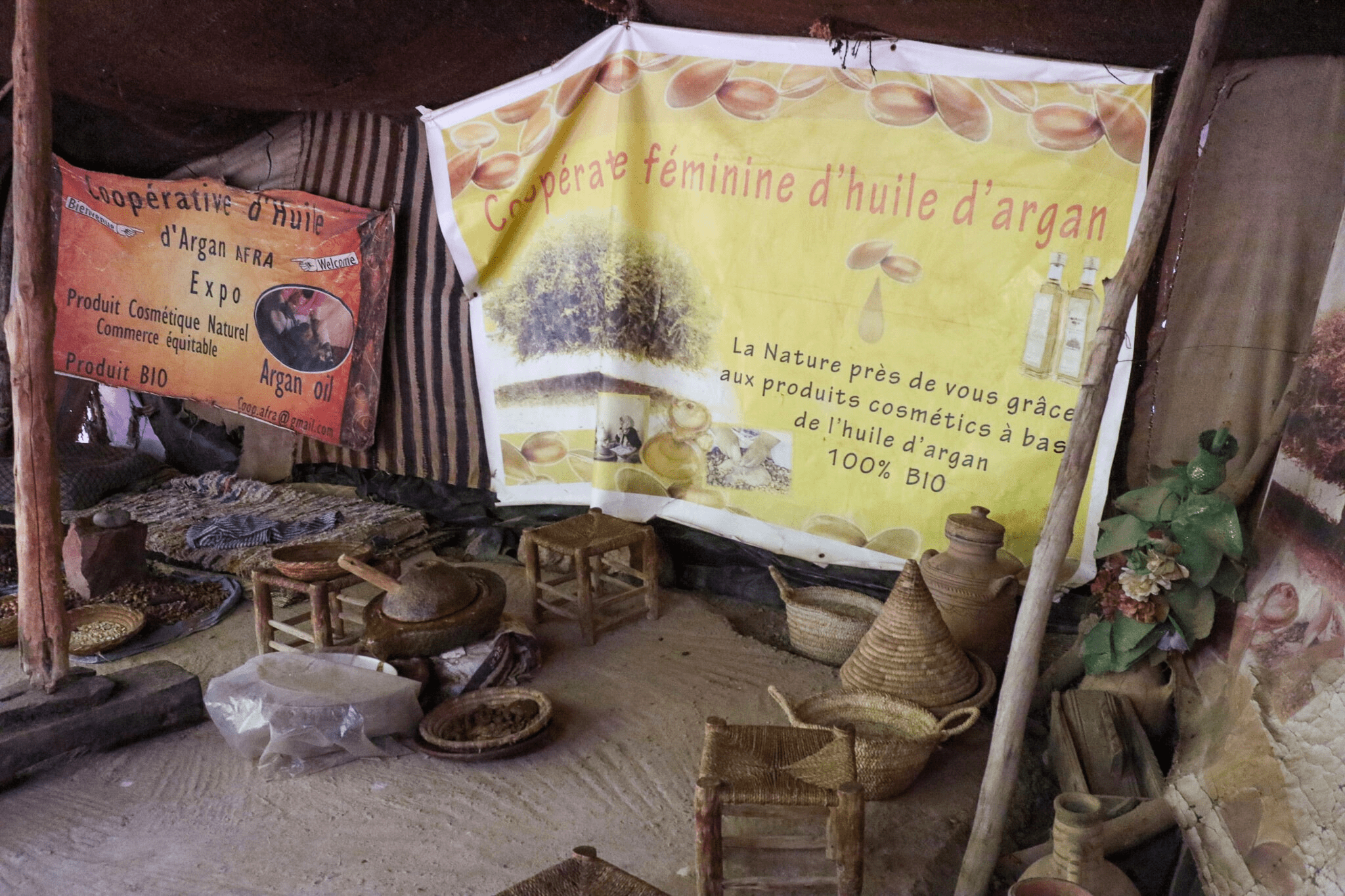 Ouzoud Waterfalls and Wildlife Safari from Marrakech