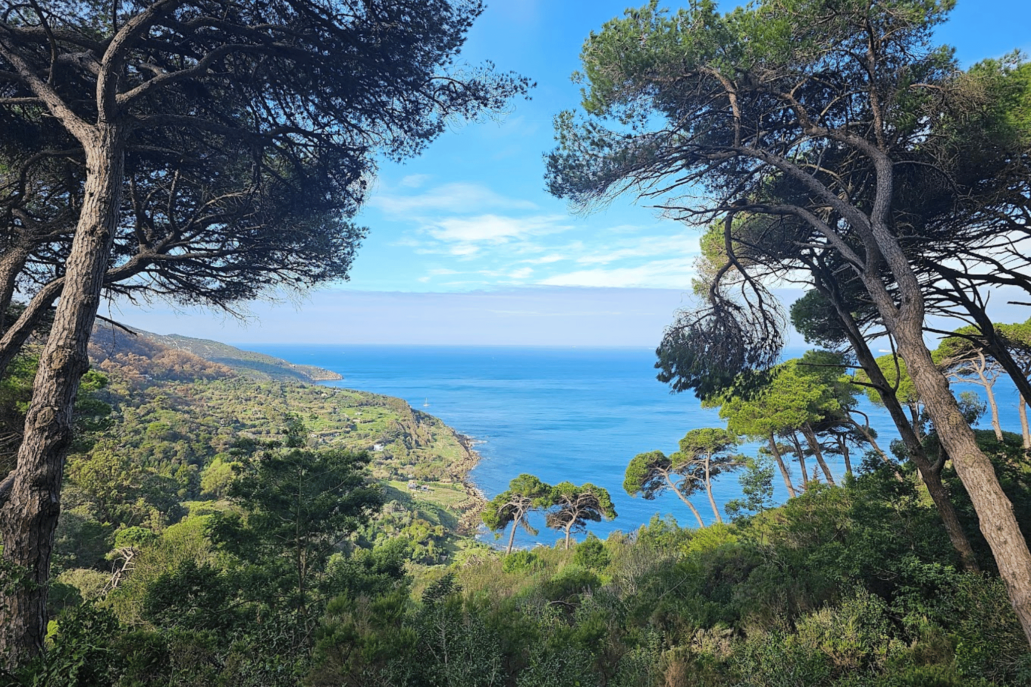 Tangier City Tour with Camel Ride – Private Day Trip From Casablanca