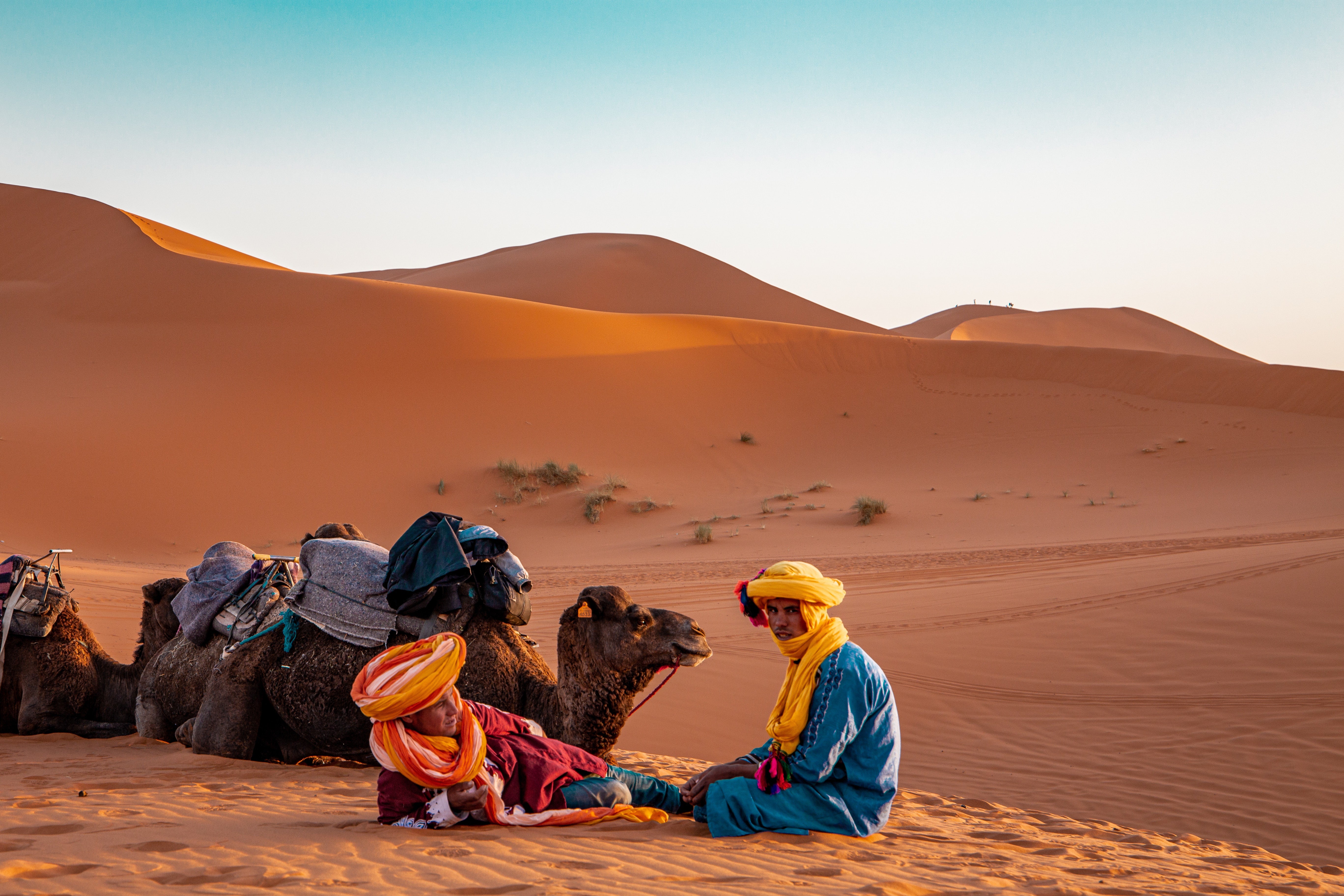 Private Transfer From Merzouga Desert to Marrakech Hotel (Any)