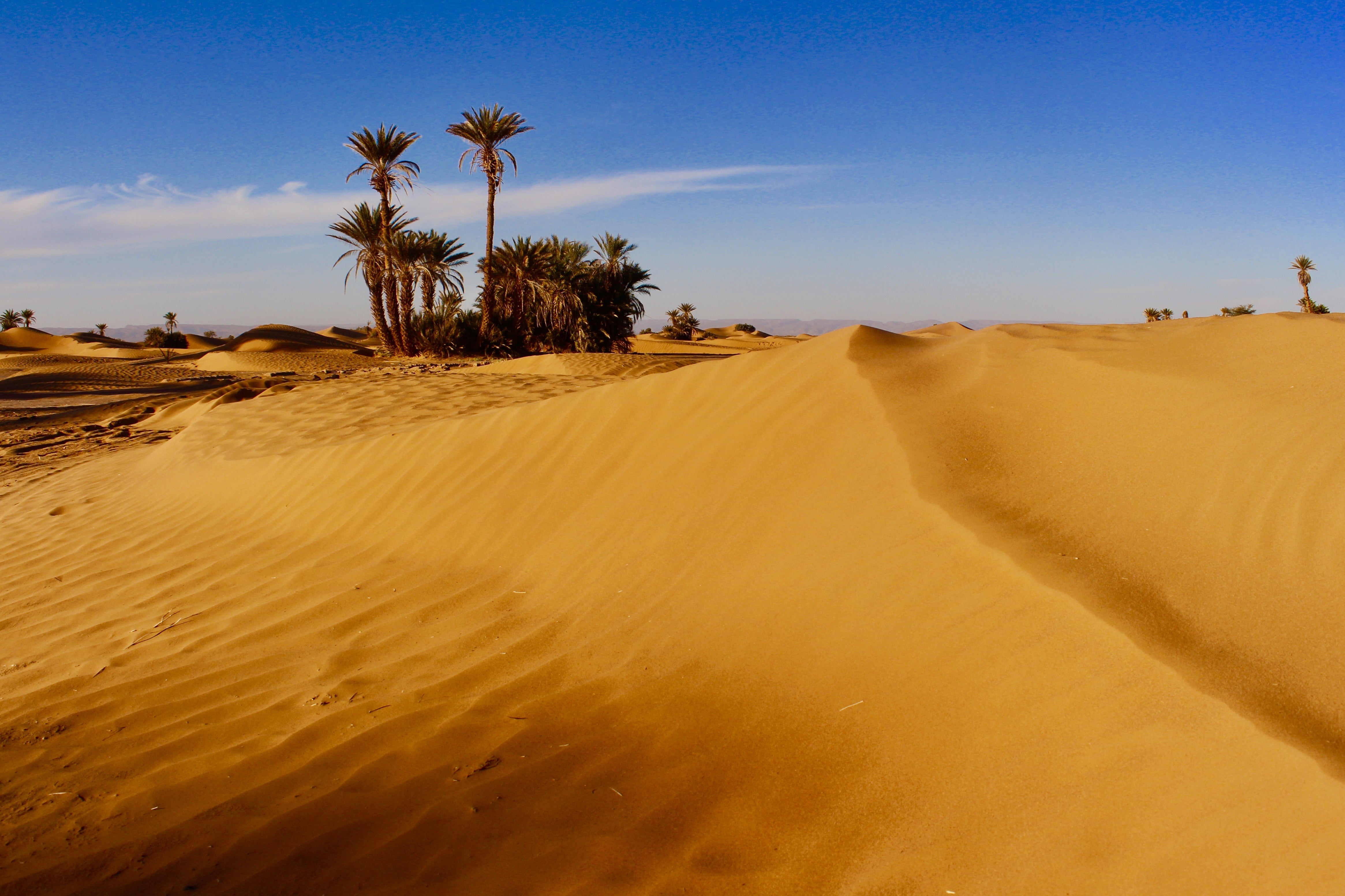 Lanterns & Legends: 4-Day Sahara Escape — Fez, Merzouga & Marrakech from Casablanca