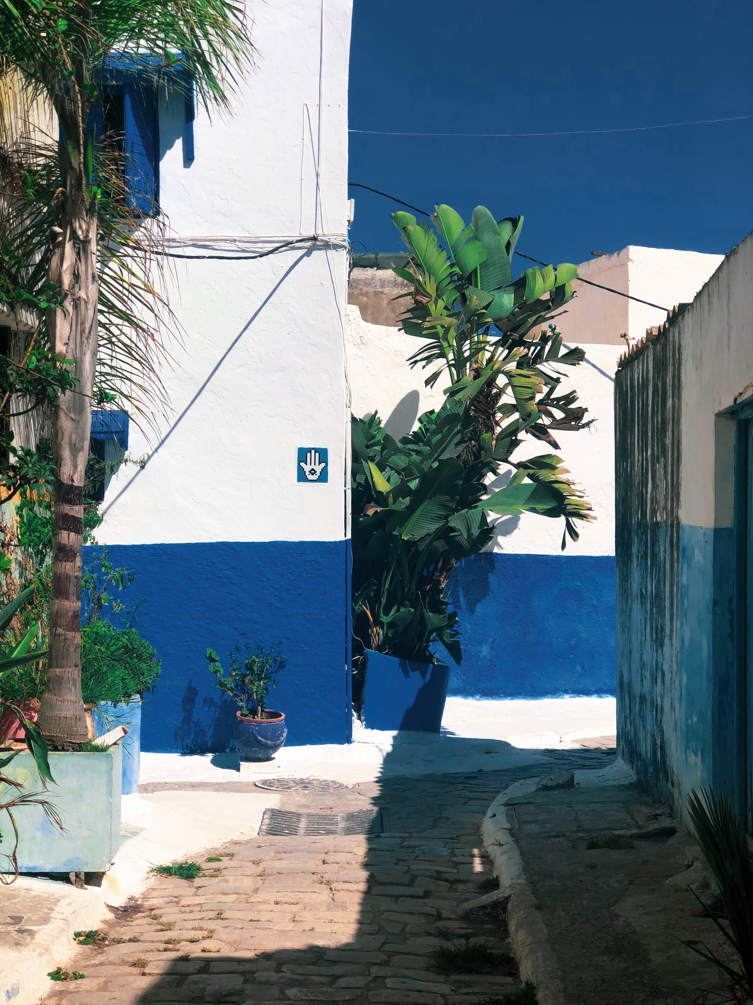 Imperial Rabat: Private Half-Day City Tour with Licensed Guide & 2-Way Hotel Transfer