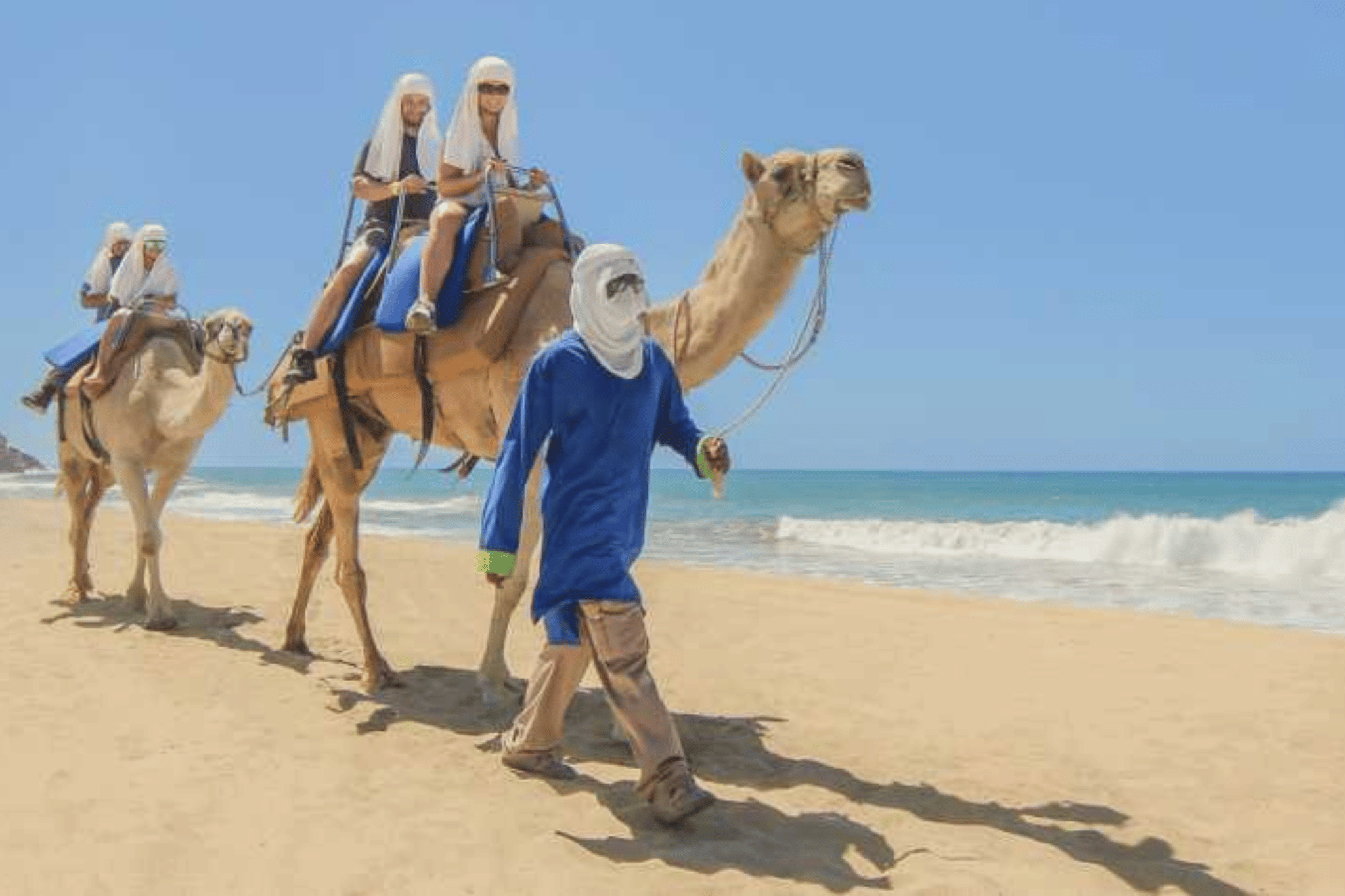 Activities and Excursions in Casablanca, Morocco