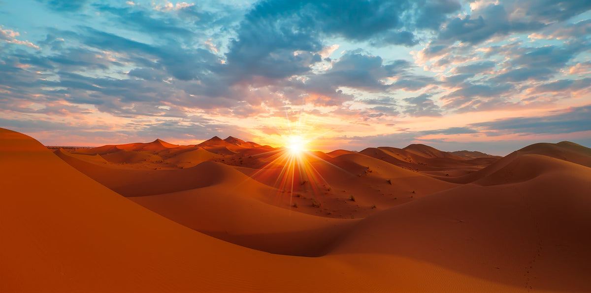 Private Luxury Chauffeured Transfers to Desert