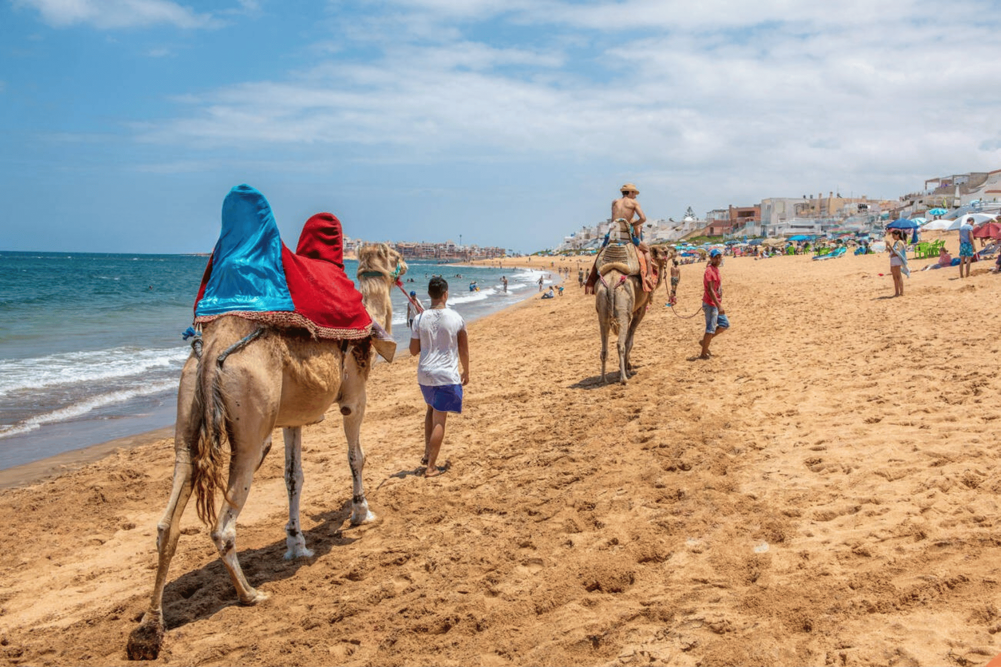 Aquarium, Africa's Largest Mall, Hassan II Mosque & Oceanfront Walking Tour in Casablanca