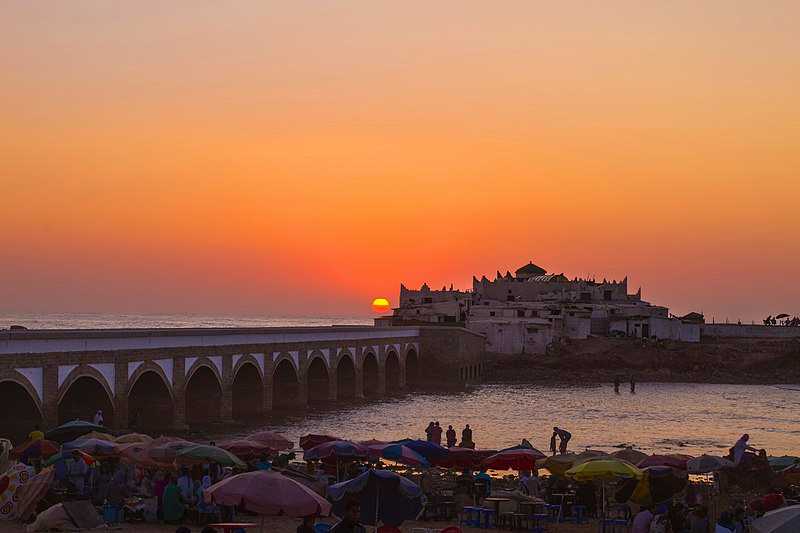 Aquarium, Africa's Largest Mall, Hassan II Mosque & Oceanfront Walking Tour in Casablanca