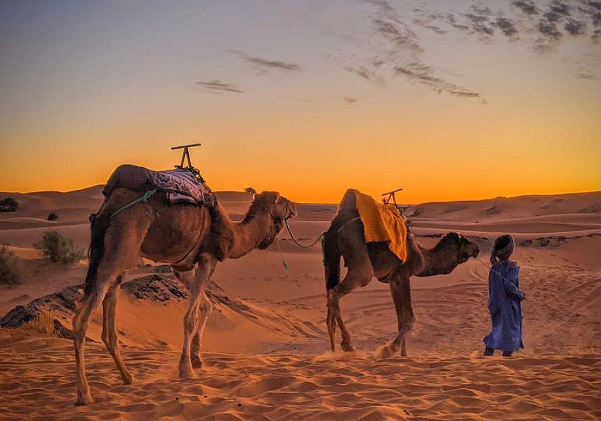 Private Transfer From Marrakech Airport (RAK) to Merzouga Desert