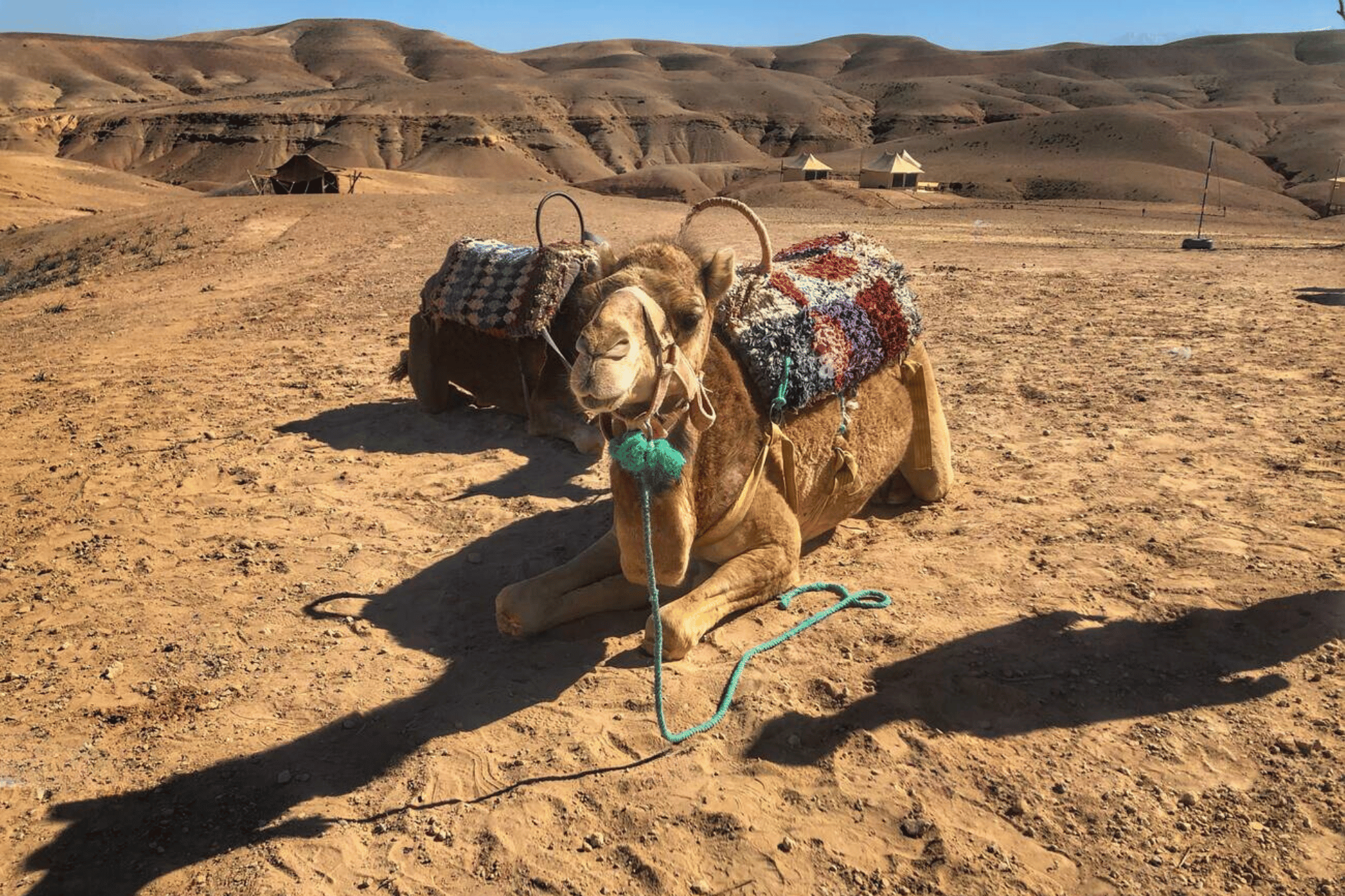 Agafay Desert & High Atlas Mountain Day Trip with Camel Ride from Marrakech