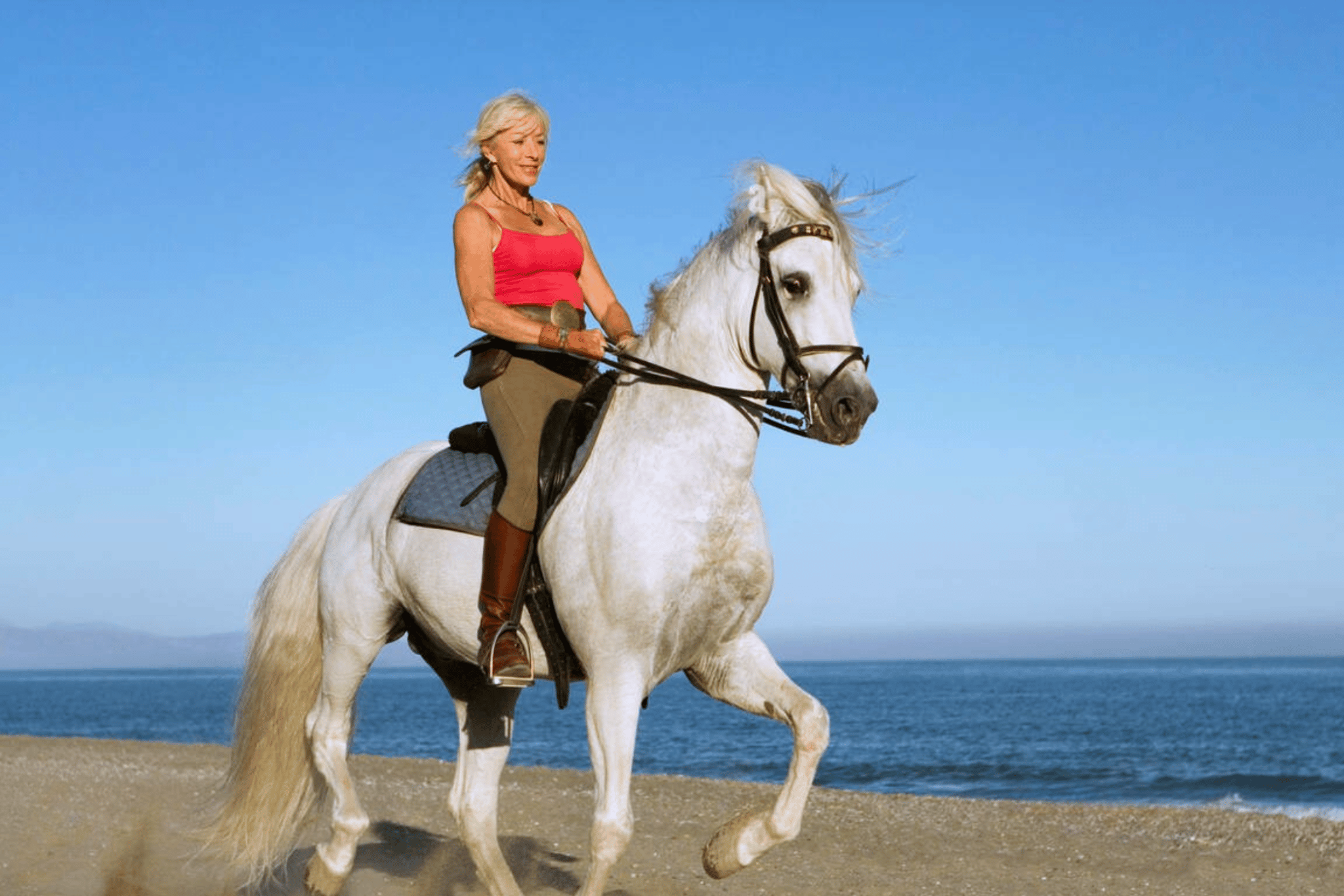 Horseback Riding Twilight Beach Escapade in Casablanca