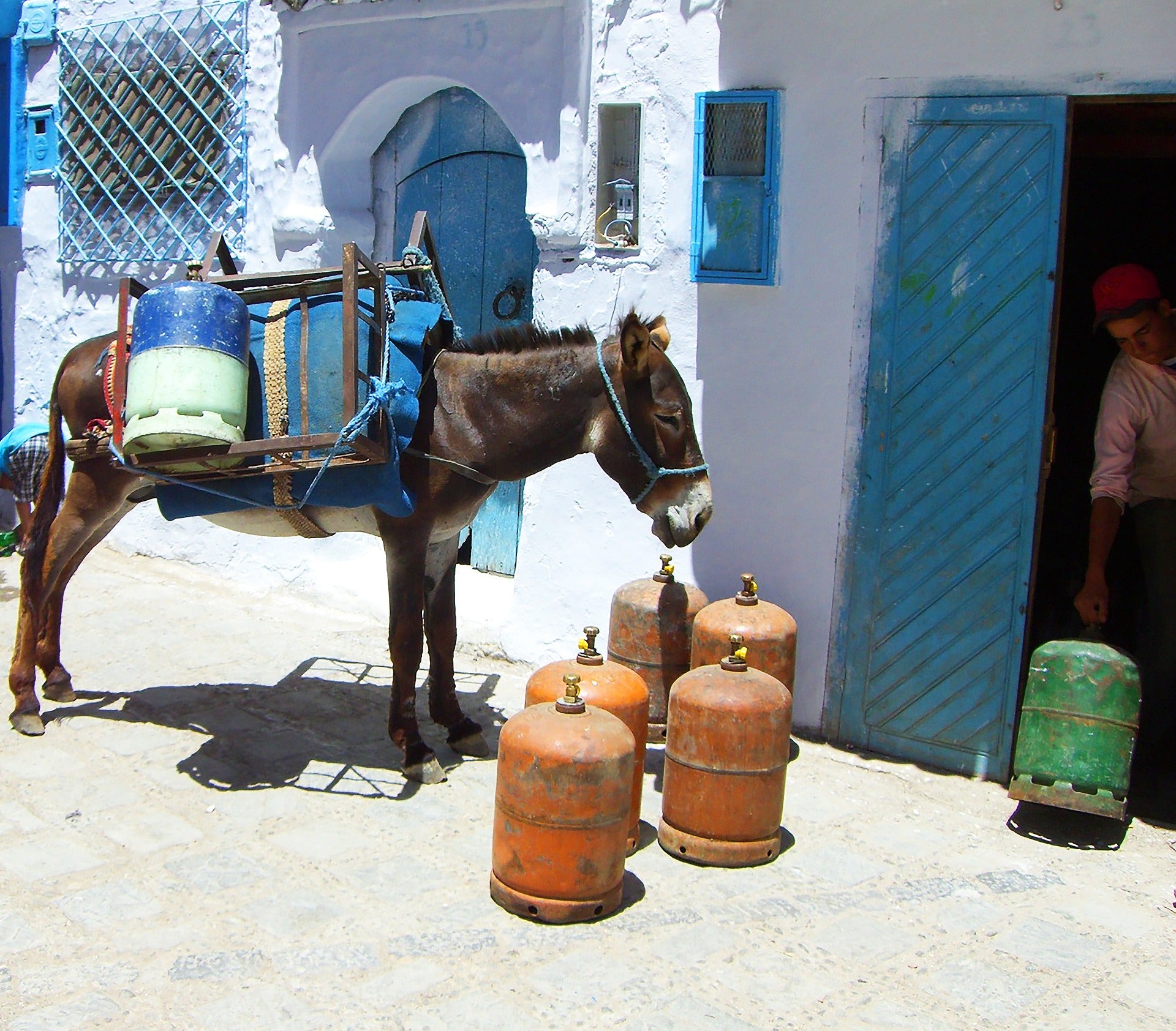 Chefchaouen – Private Day Trip From Casablanca with Chauffeur & Licensed Guide