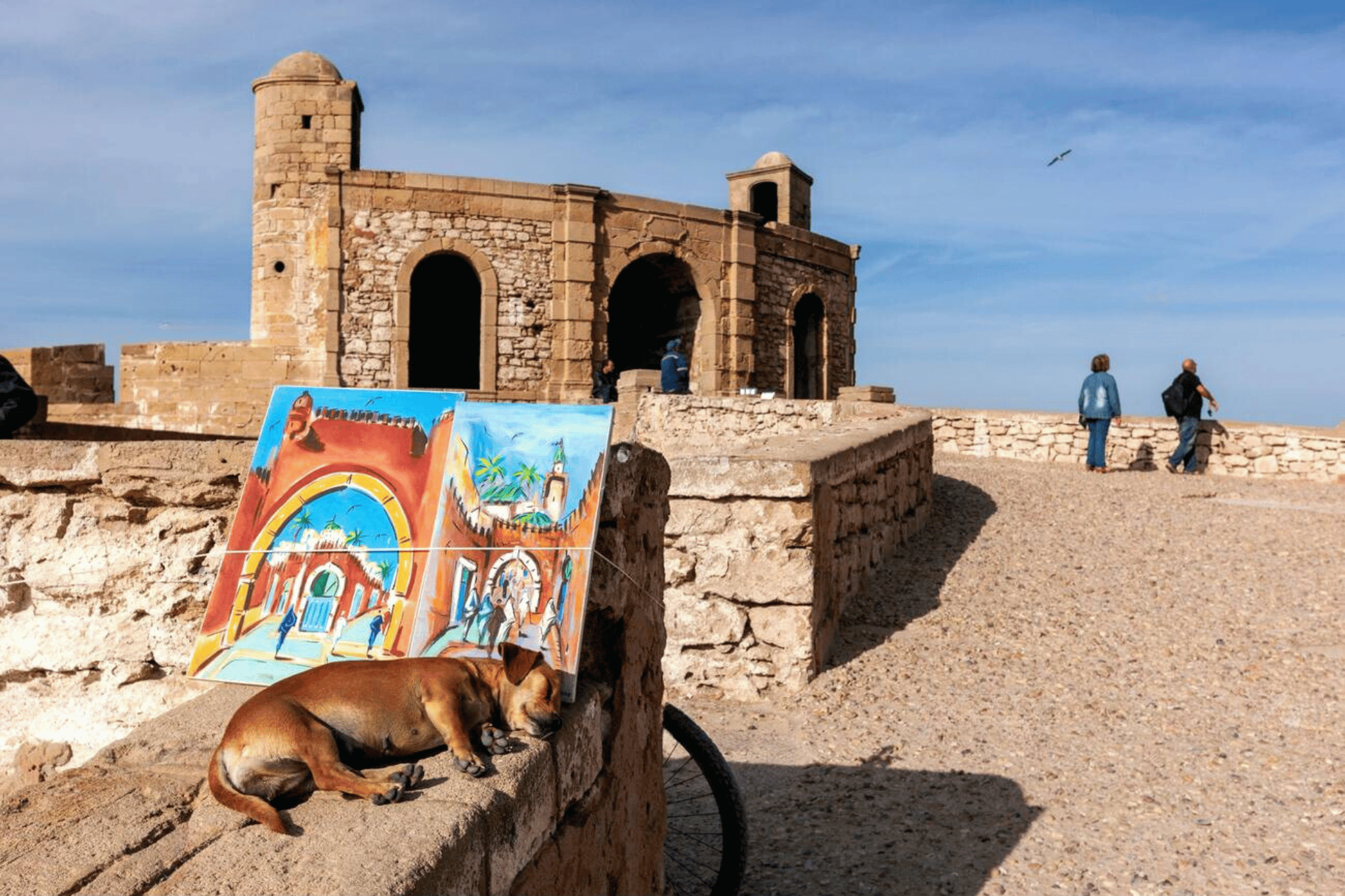 Essaouira Seaside with Historic Sights & UNESCO Medina – Private Full-Day Guided Tour from Marrakech