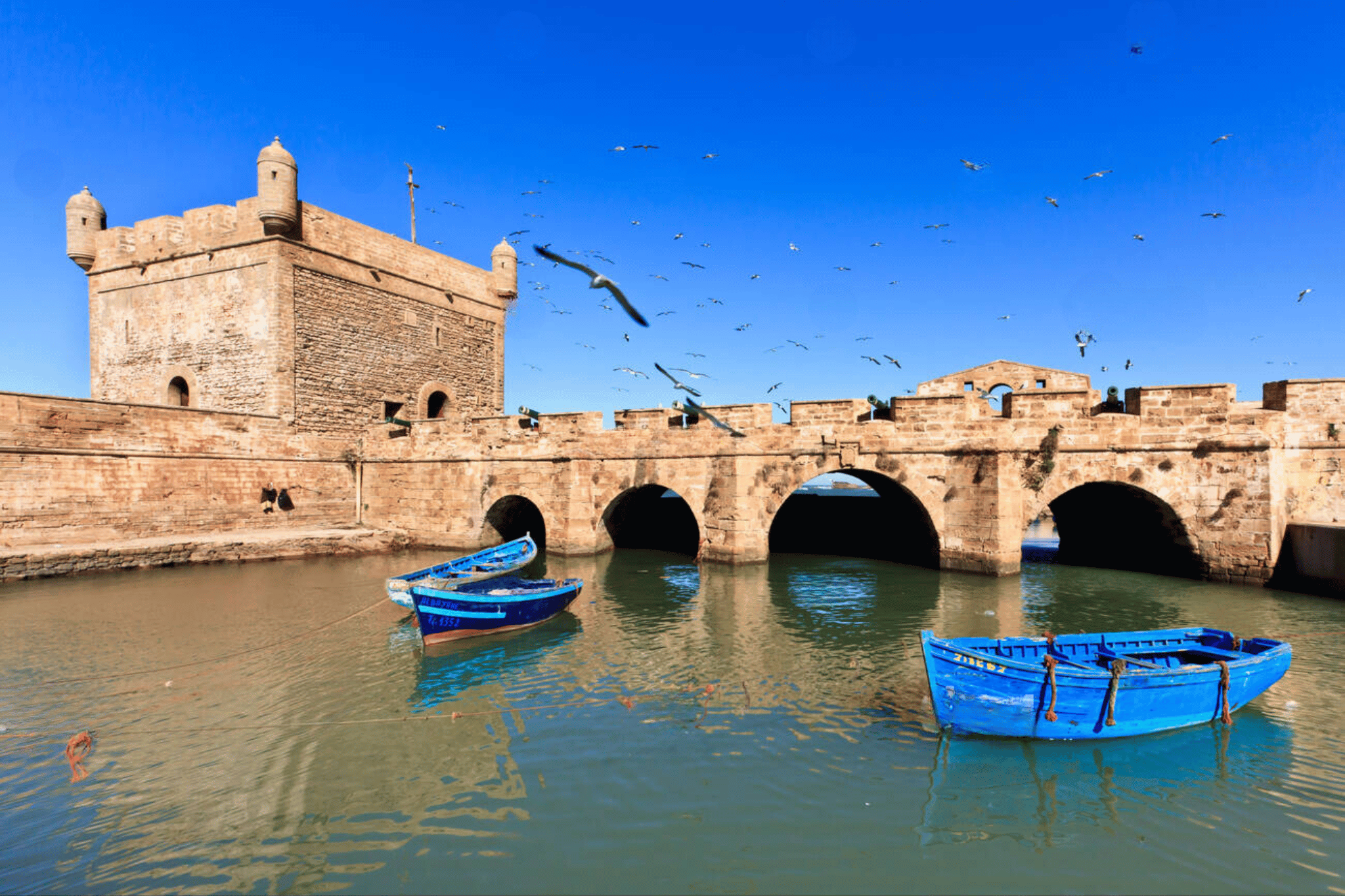 Essaouira Seaside with Historic Sights & UNESCO Medina – Private Full-Day Guided Tour from Marrakech