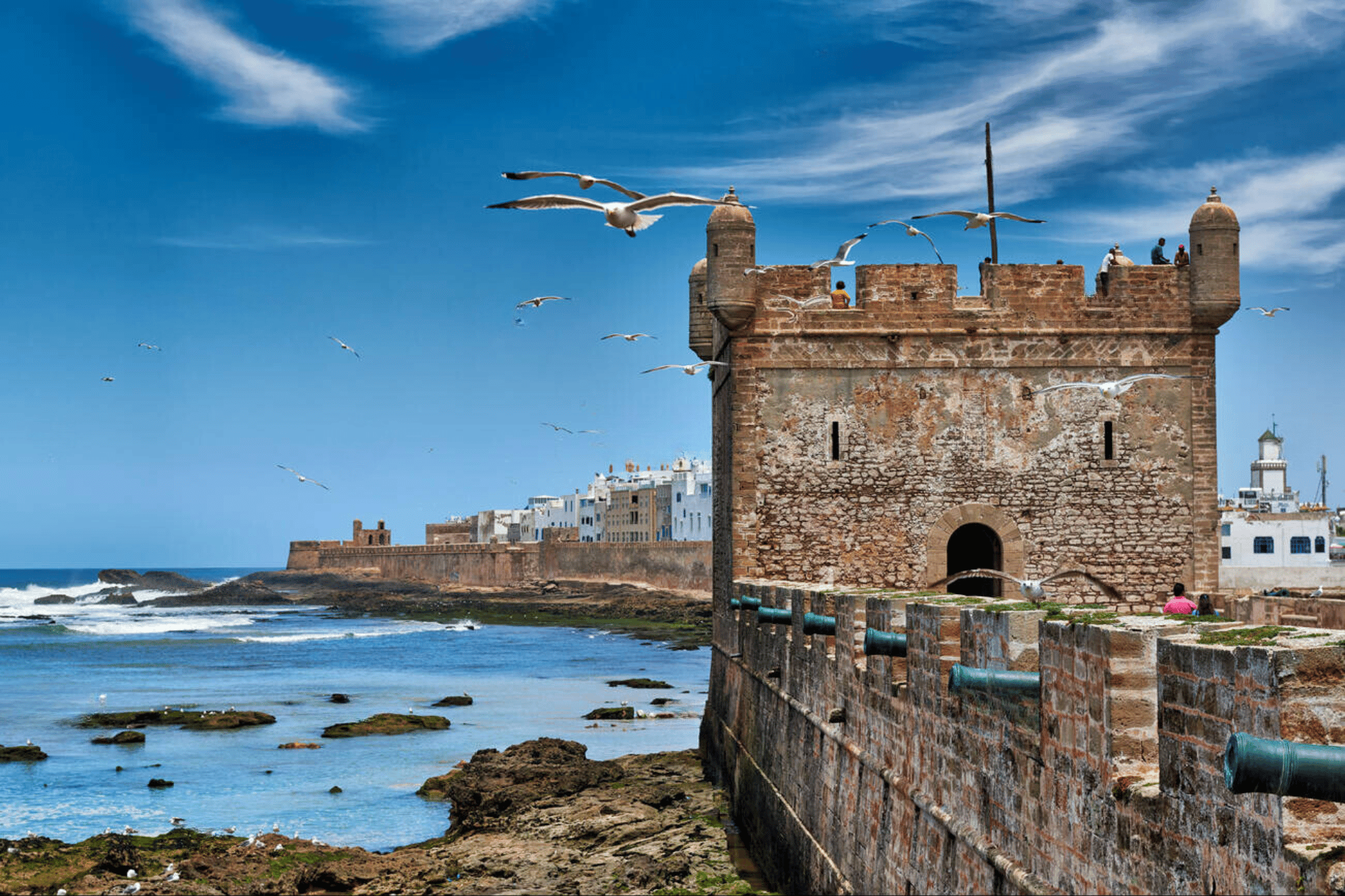 Essaouira Seaside with Historic Sights & UNESCO Medina – Private Full-Day Guided Tour from Marrakech
