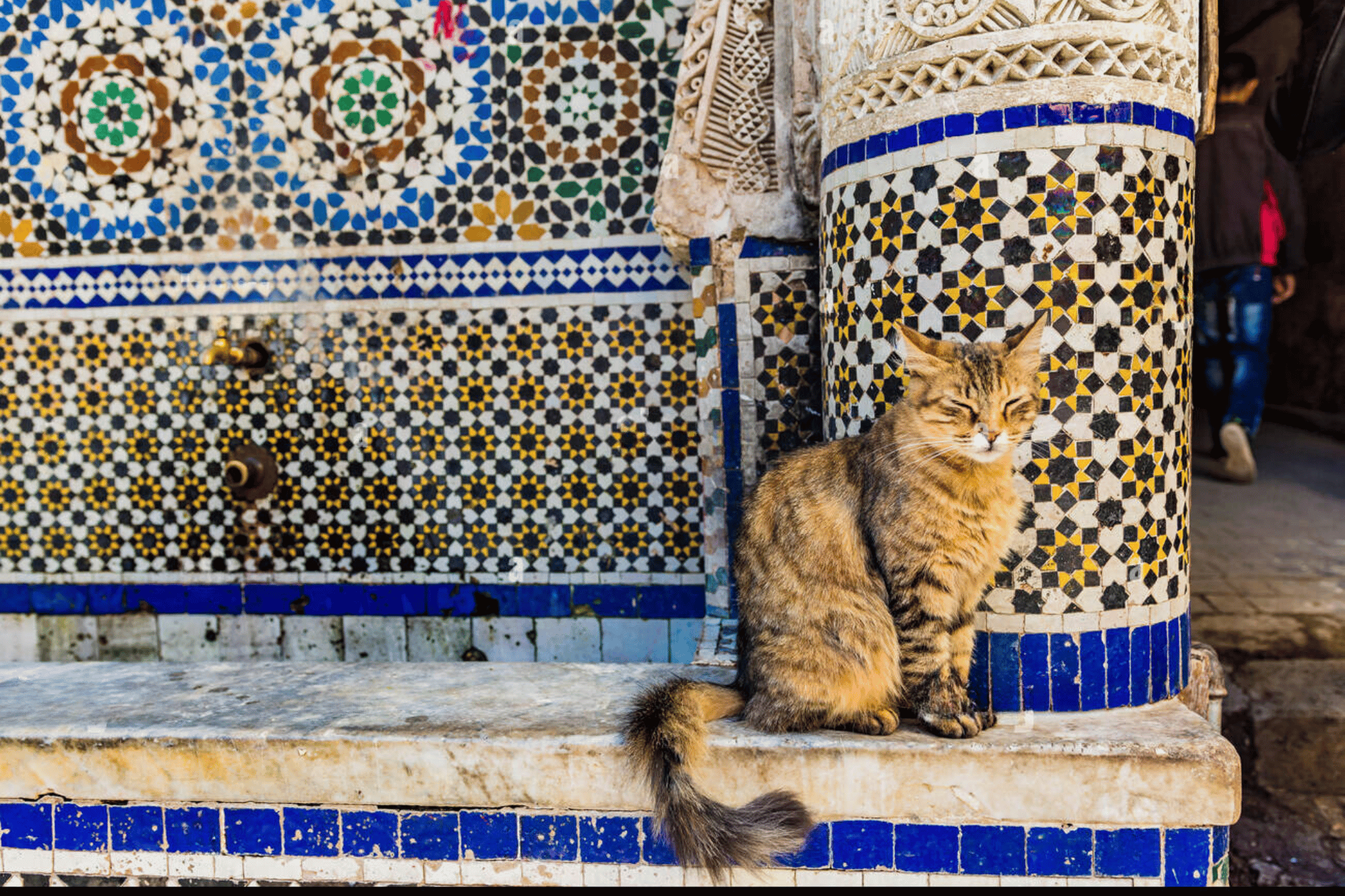 Fes City Tour – Private Day Trip From Casablanca with Chauffeur & Licensed Guide