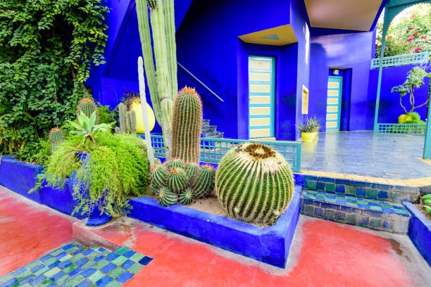 Majorelle Botanical Garden and Hidden Bazaars of Marrakech