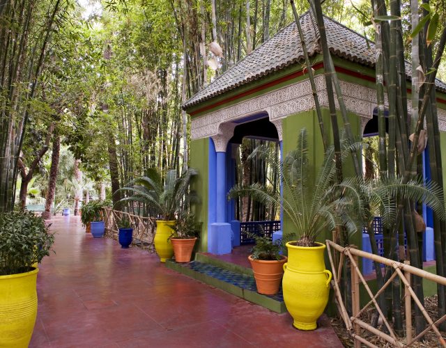 Majorelle Botanical Garden and Hidden Bazaars of Marrakech