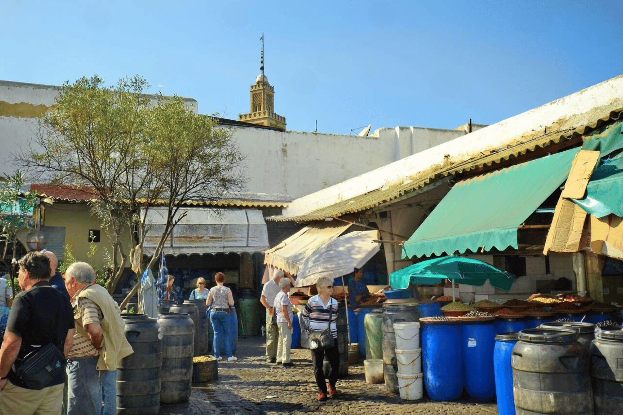Casablanca Highlights Shore Excursion: Hassan II Mosque, Old City & Medina – Half Day
