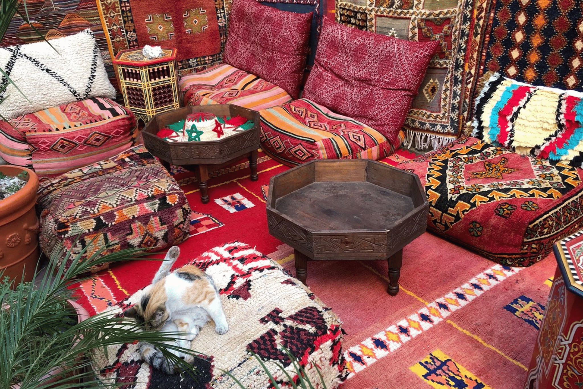 Casablanca Highlights Shore Excursion: Hassan II Mosque, Old City & Medina – Half Day