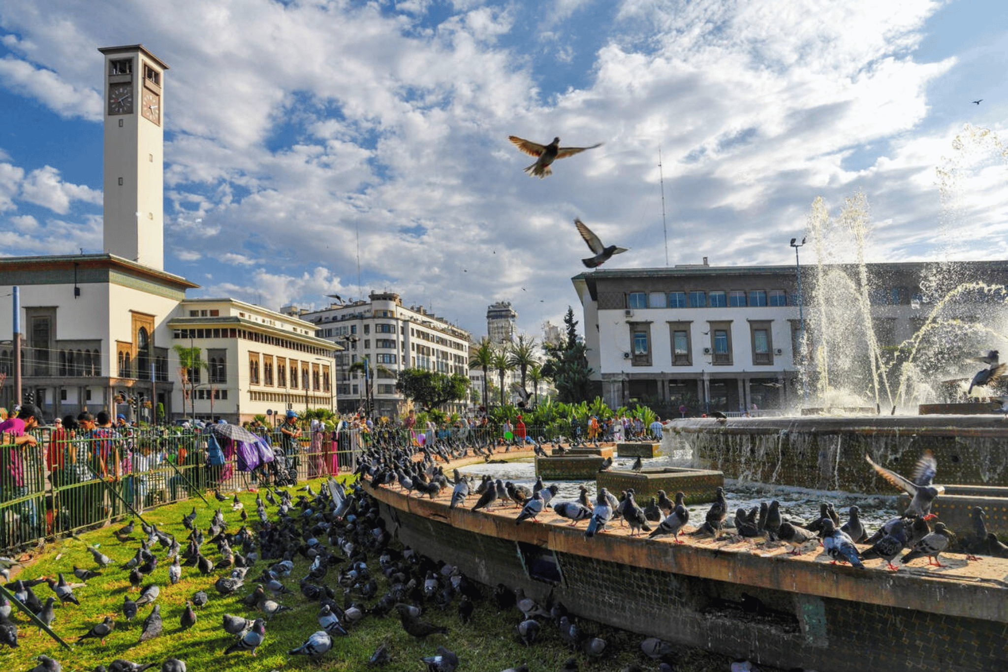 Casablanca Premier Private Walking Tour with Licensed Guide – Old Medina, Mosque & Landmarks