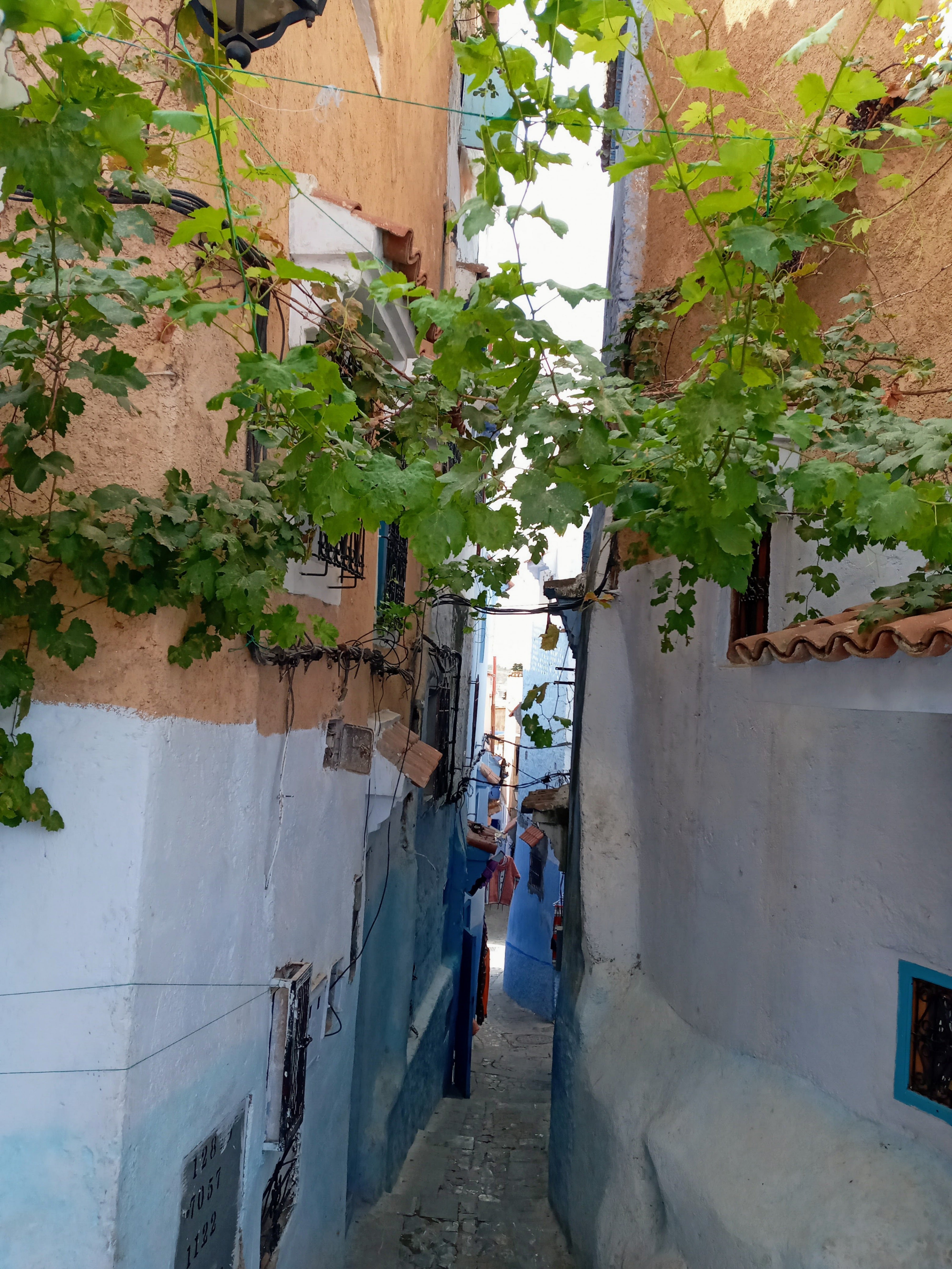 Tangier City Tour with Camel Ride – Private Day Trip From Casablanca