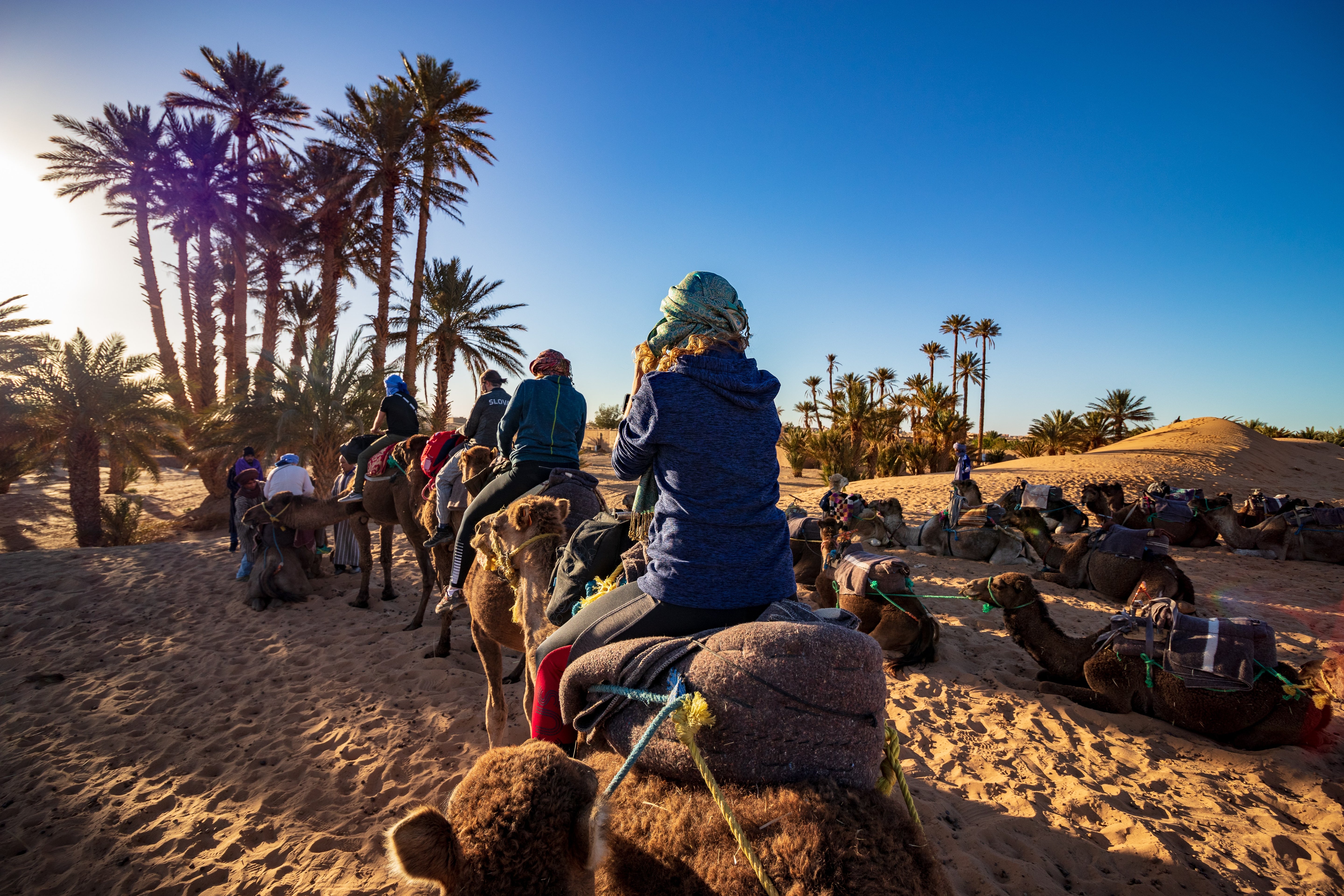 Camel Ride Experience in Marrakech’s Palmeraie