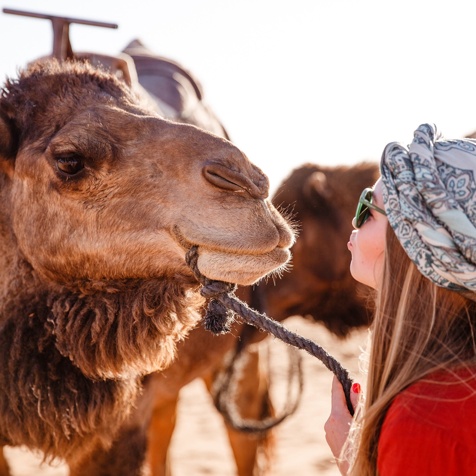 Camel Ride Experience in Marrakech’s Palmeraie