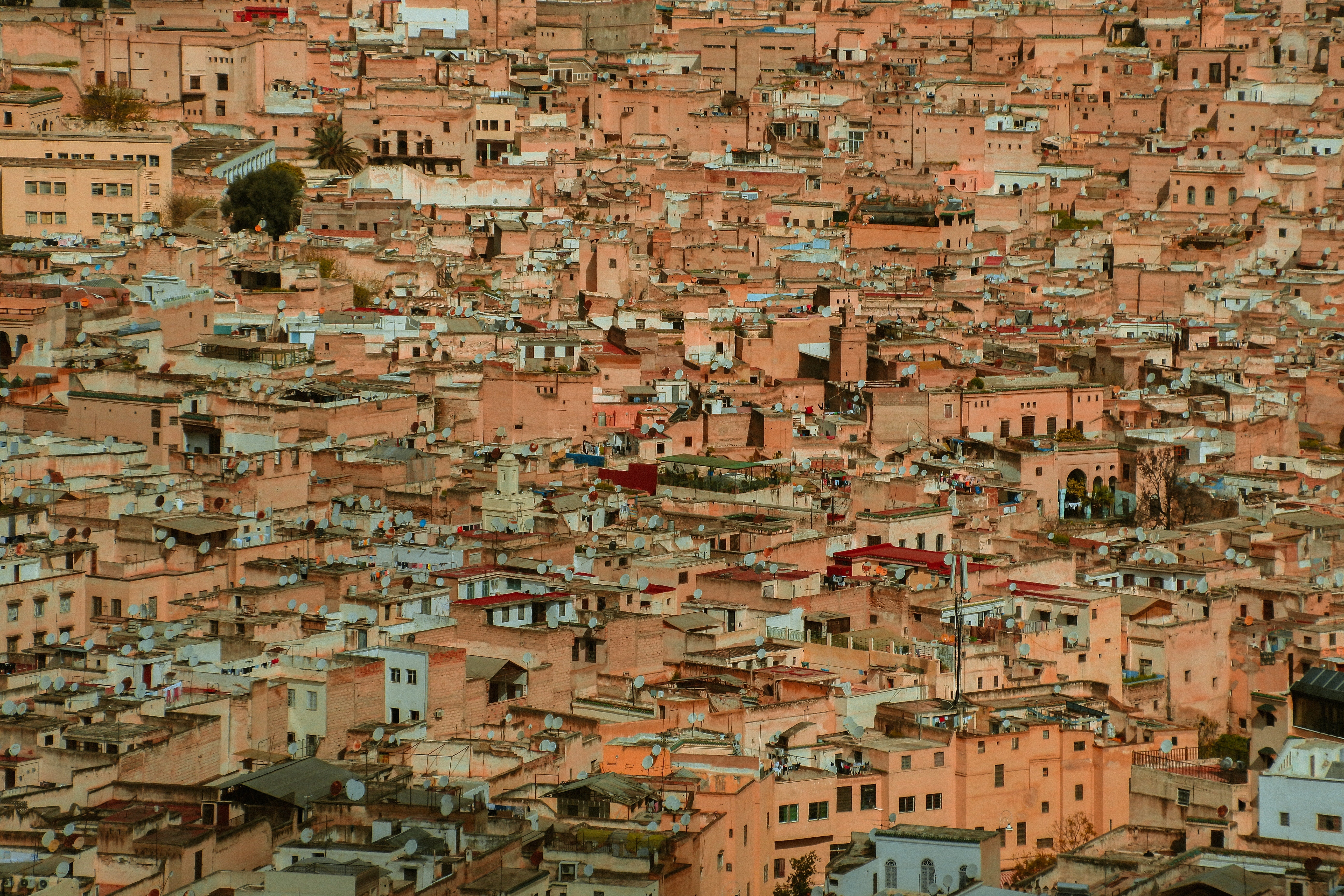 Essential Fes: UNESCO Medina, Tannery & Historic Quarters. Private City Tour with Licensed Guide. All-Inclusive Entry Fees