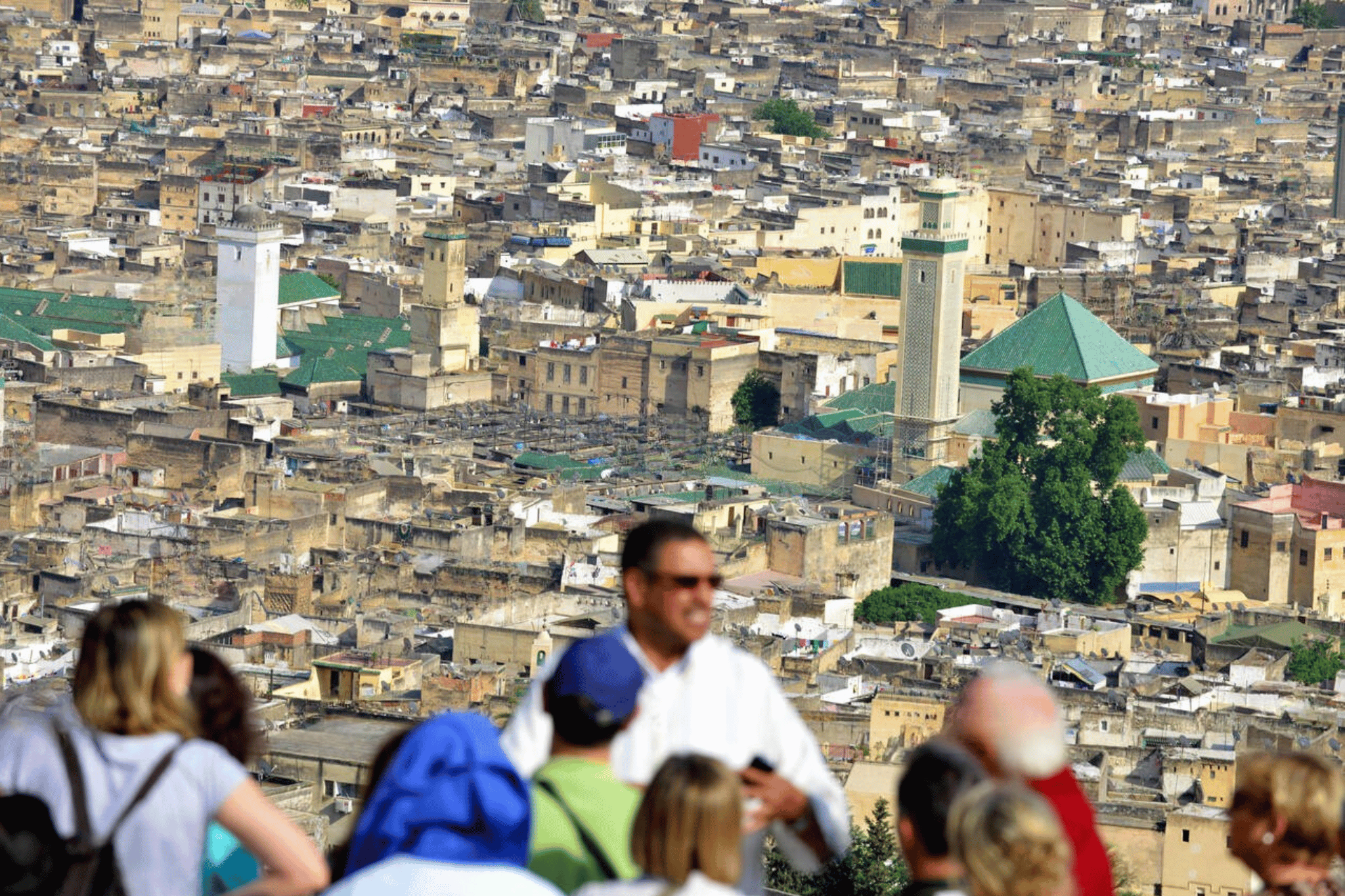 Essential Fes: UNESCO Medina, Tannery & Historic Quarters. Private City Tour with Licensed Guide. All-Inclusive Entry Fees