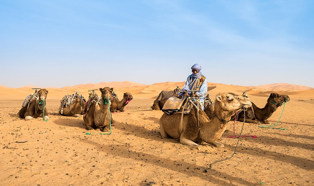 Lanterns & Legends: 4-Day Sahara Escape — Fez, Merzouga & Marrakech from Casablanca