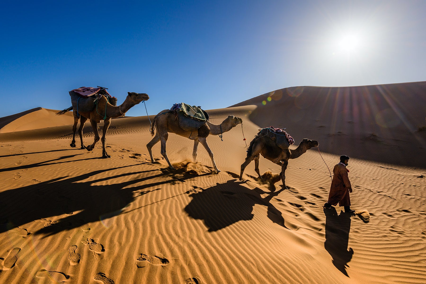 Lanterns & Legends: 4-Day Sahara Escape — Fez, Merzouga & Marrakech from Casablanca