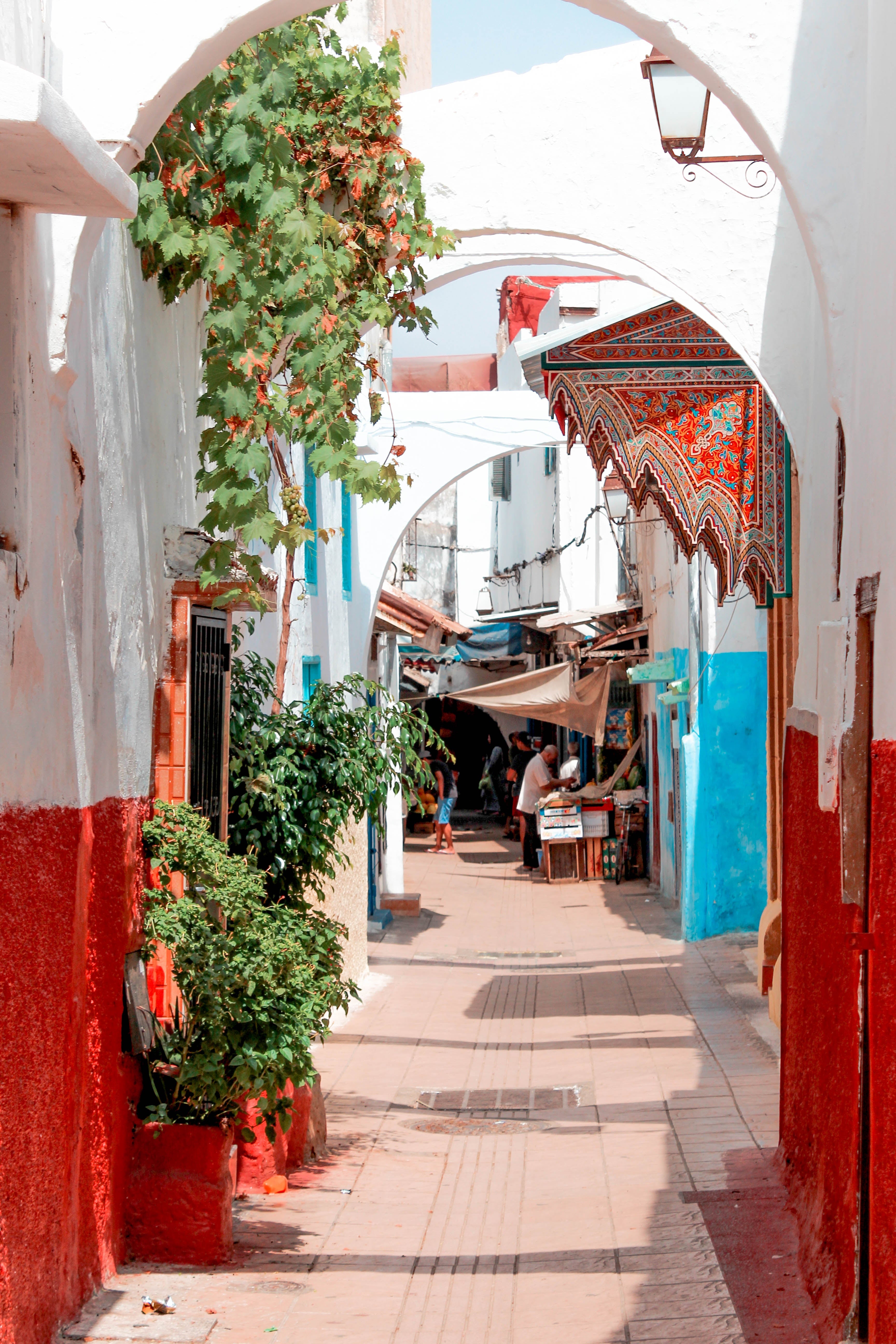 Imperial Rabat: Private Half-Day City Tour with Licensed Guide & 2-Way Hotel Transfer