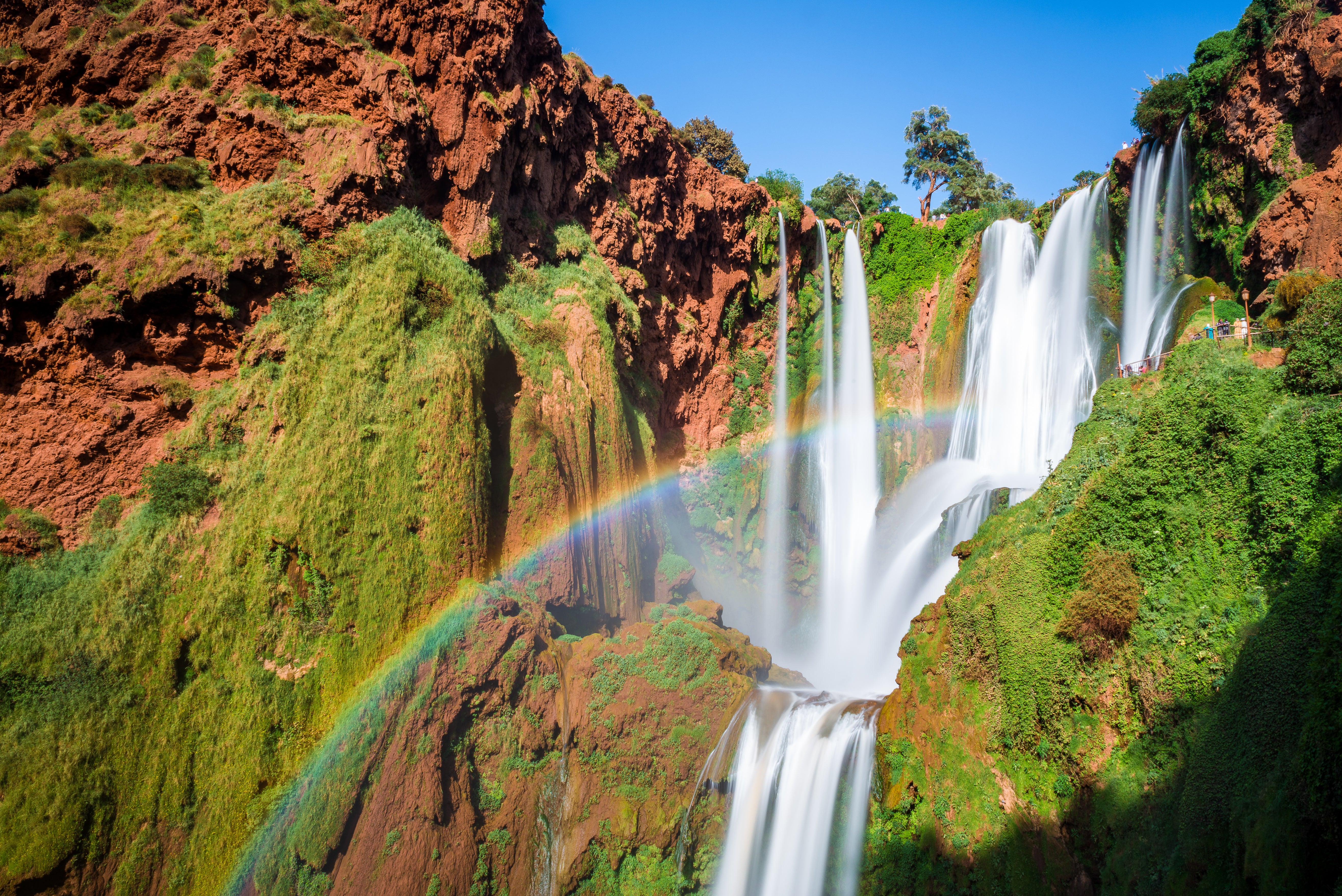 Ouzoud Waterfalls and Wildlife Safari from Marrakech